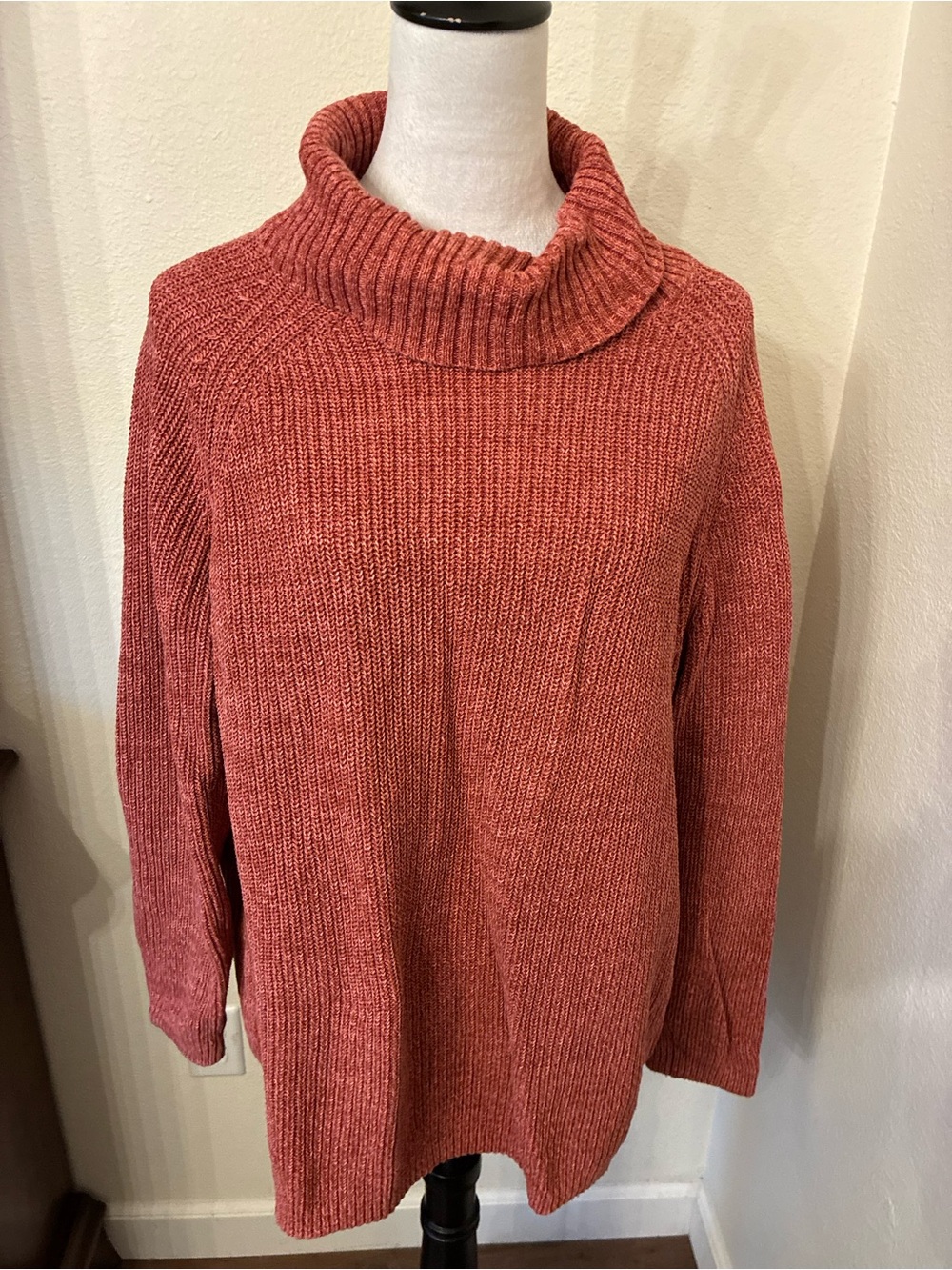 Coldwater Creek Cozy Women's Ribbed Turtleneck Sweater - Rust